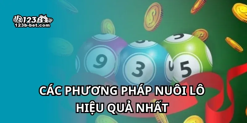Các phương pháp nuôi lô hiệu quả nhất