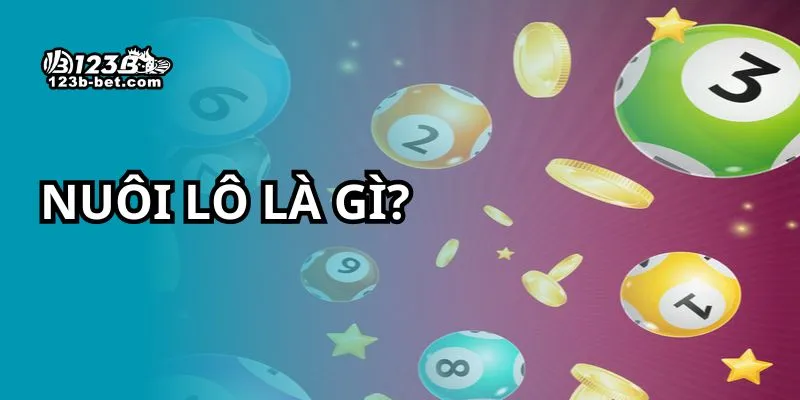Nuôi lô là gì?