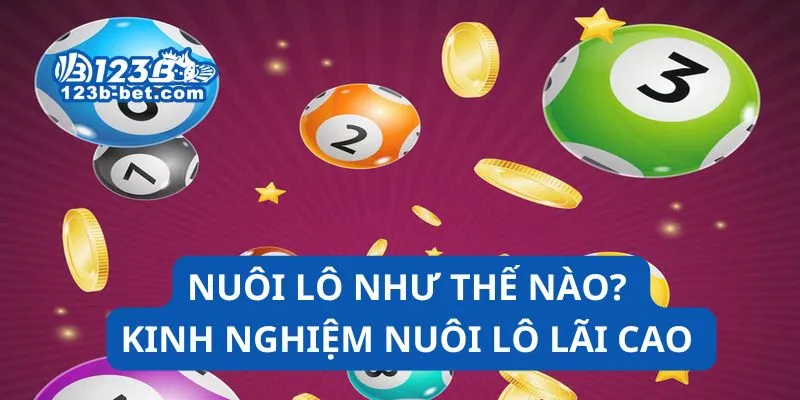 Nuôi lô như thế nào? Kinh nghiêm nuôi lô lãi cao