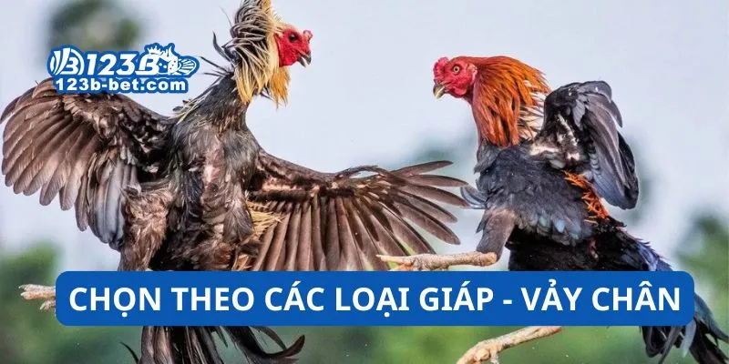 Chọn theo các loại giáp - vảy chân