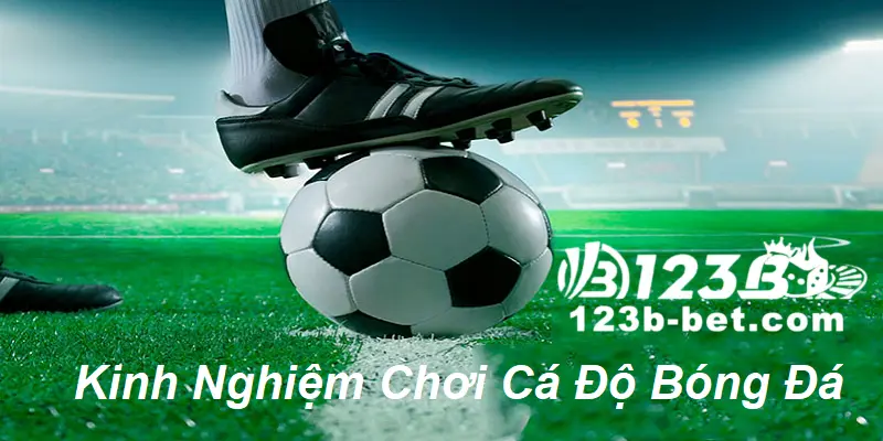 Nắm vững kiến thức cơ bản cá cược bóng đá
